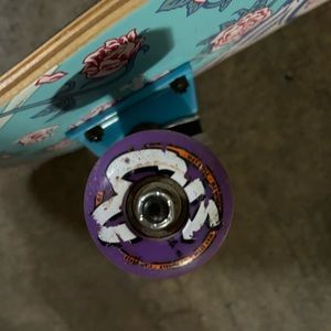 Santa Cruz Skateboard